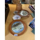 FOUR PLATES TWO WITH HAND PAINTED ORIENTAL FISH DESIGN AND A GLASS LAMPSHADE