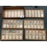 VINTAGE WOODEN CASED MICROSCOPE SLIDES DATING TO 1881