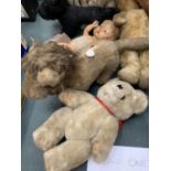 A LARGE COLLECTION OF VINTAGE TEDDIES