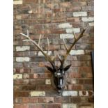 A STAGS HEAD WALL PLINTH