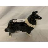 A BESWICK BORDER COLLIE DOG