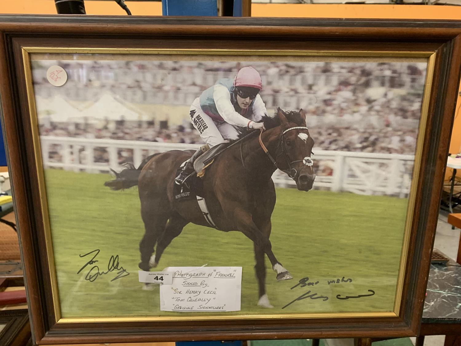 A PHOTOGRAPH OF THE RACEHORSE FRANKEL SIGNED BY SIR HENRY CECIL AND TOM QUEALLY