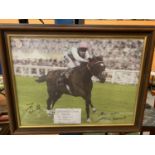 A PHOTOGRAPH OF THE RACEHORSE FRANKEL SIGNED BY SIR HENRY CECIL AND TOM QUEALLY