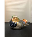 A ROYAL CROWN DERBY DUCK