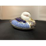 A ROYAL CROWN DERBY IMARI DUCK WITH GOLD STOPPER