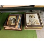 A LARGE COLLECTION OF FRAMED PICTURES