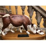 A BESWICK HEREFORD COW AND CALF ON A WOODEN PLINTH