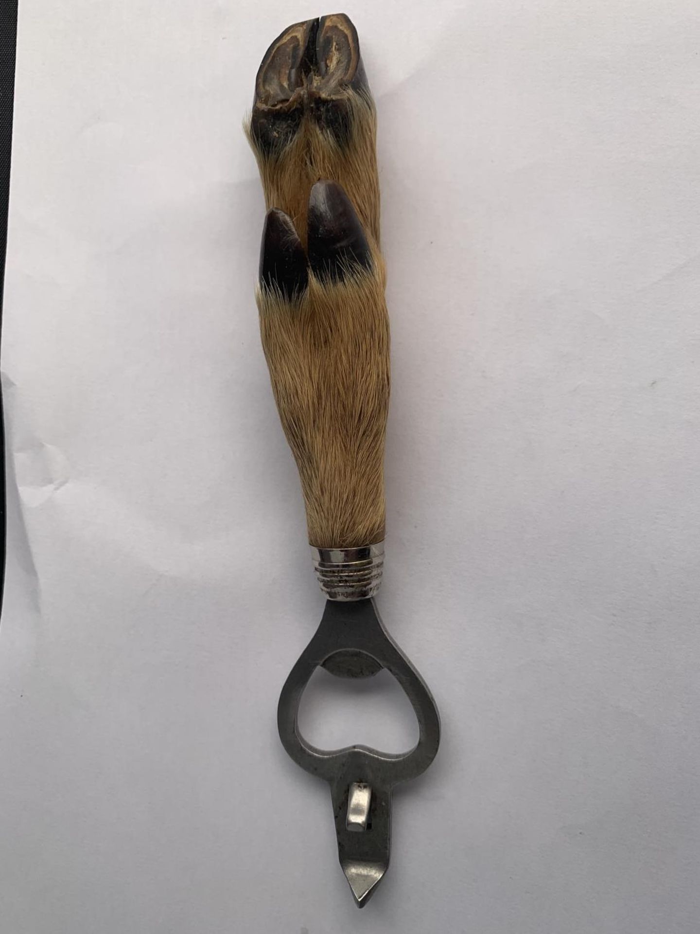 A ROE DEER FOOT BOTTLE OPENER - Image 2 of 2