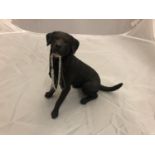 A STATUE OF A SEATED BLACK LABRADOR WITH A LEAD IN ITS MOUTH HEIGHT 19CM