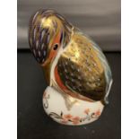 A ROYAL CROWN DERBY KINGFISHER