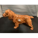 A ROYAL DOULTON SPANIEL DOG HN1186