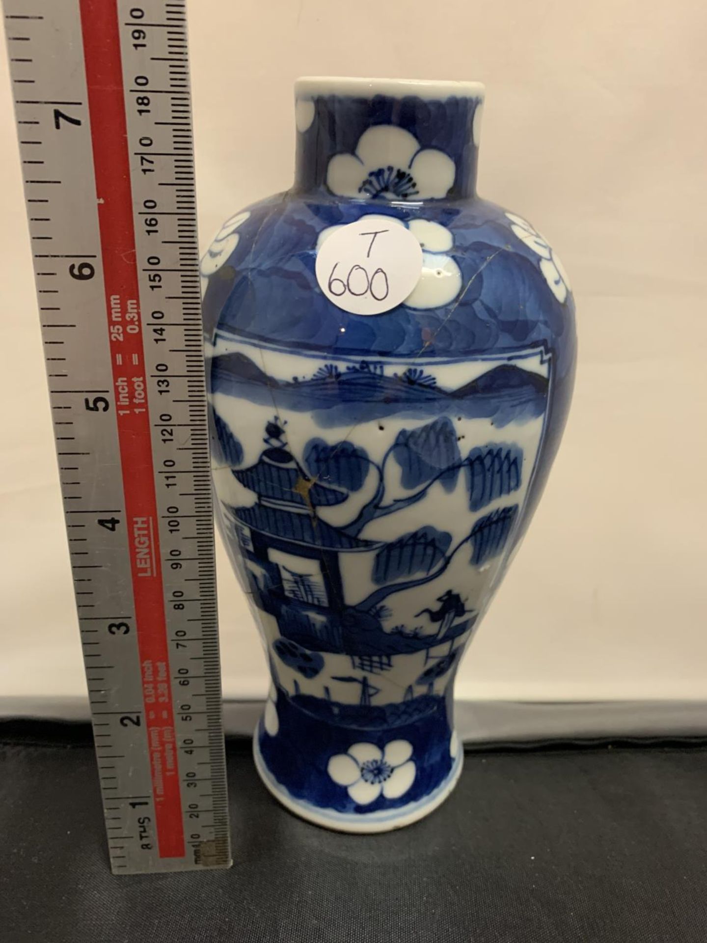A BLUE AND WHITE CHINESE VASE