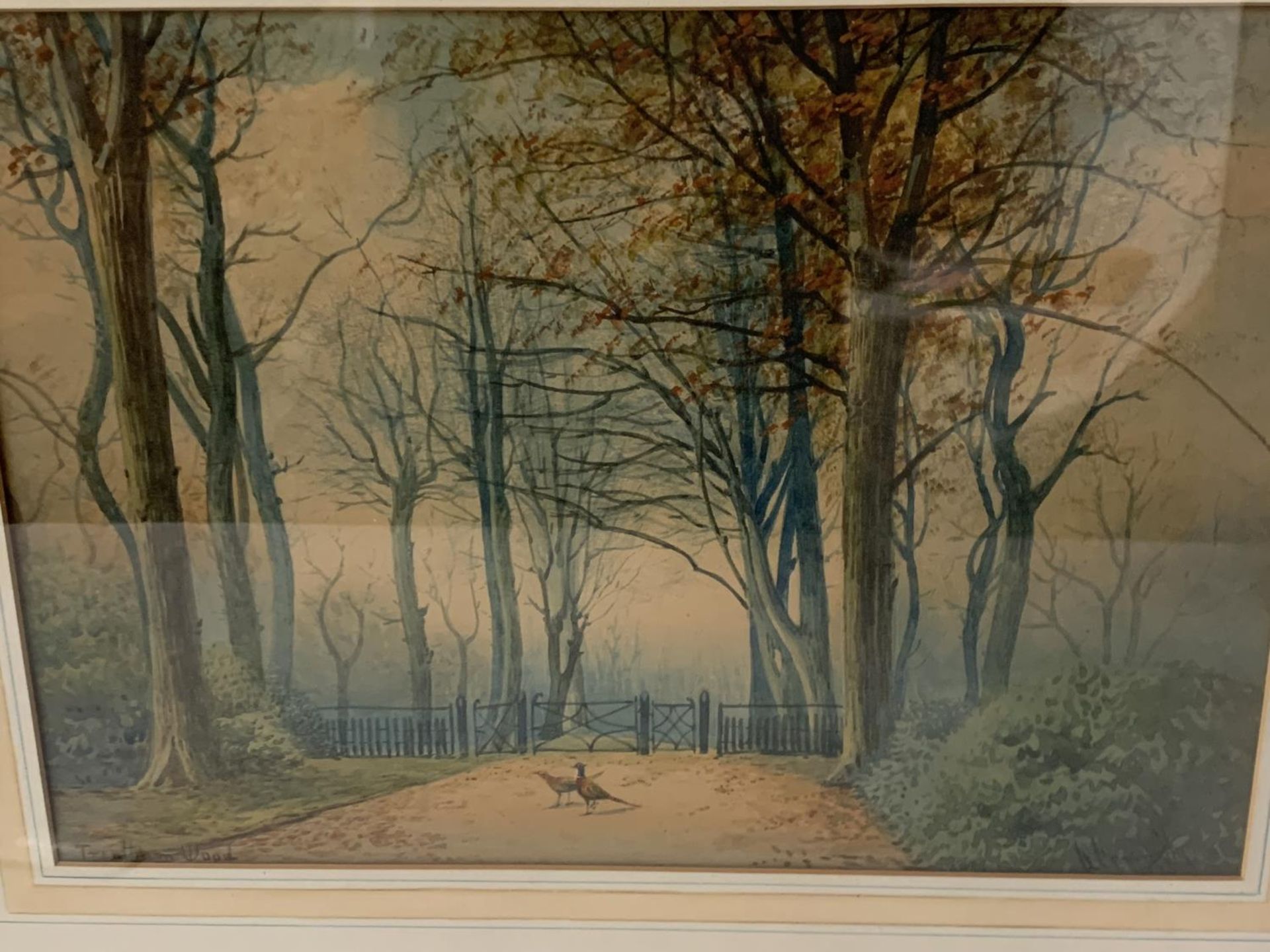 A FRAMED WATERCOLOUR OF TRENTHAM WOODS BY MINTON ARTIST CONNELLY 1925 - Image 2 of 4