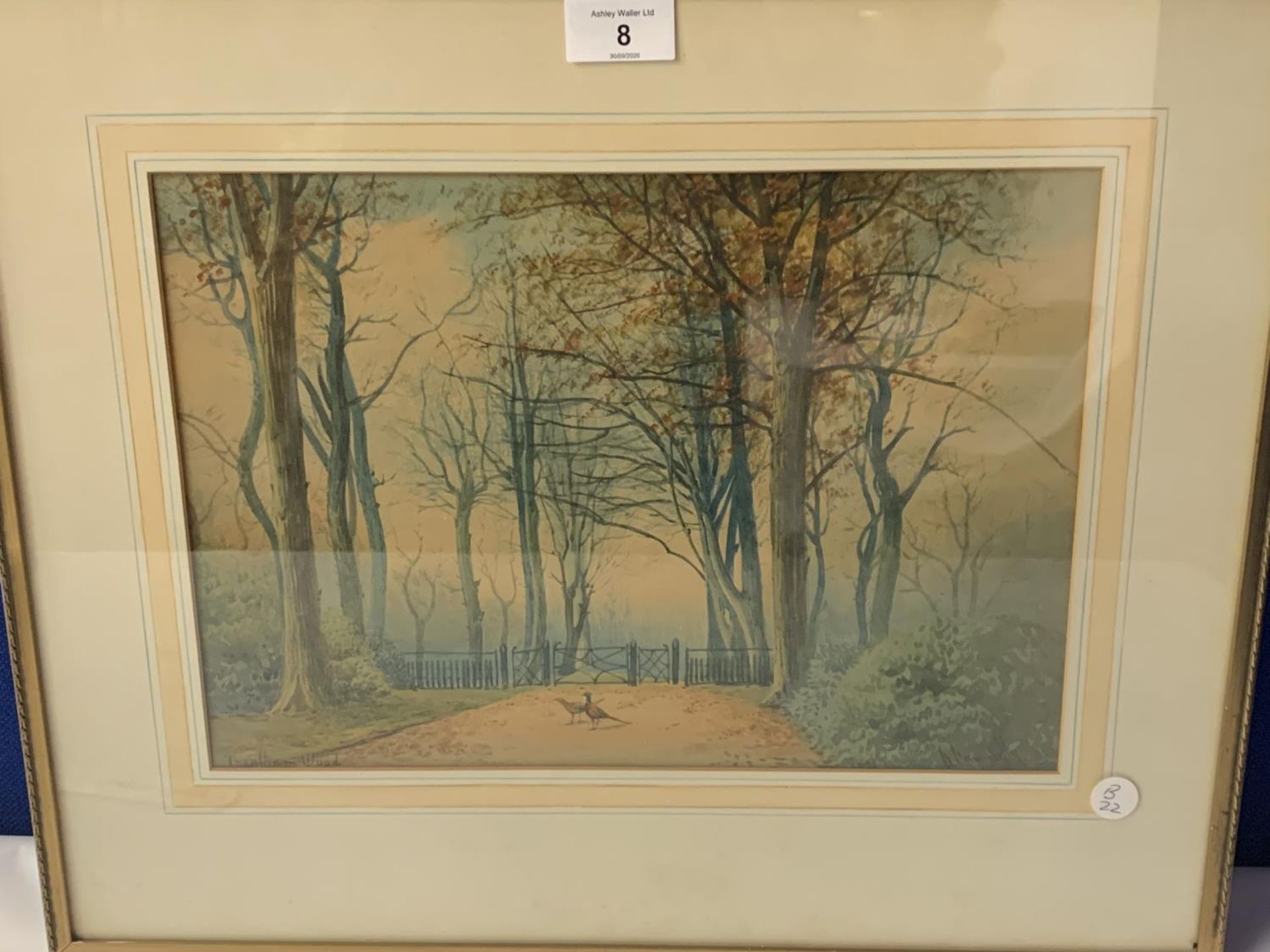 A FRAMED WATERCOLOUR OF TRENTHAM WOODS BY MINTON ARTIST CONNELLY 1925