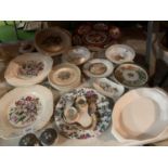 AN ASSORTMENT OF DISPLAY PLATES INCLUDING STAFFORDSHIRE 'EMBLEMS OF ATLANTIC CANADA', TUDORWARE ETC