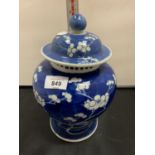 A LARGE 19TH CENTURY CHINESE PRUNUS LIDDED TEMPLE JAR PORCELAIN VASE 26CM