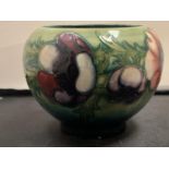 A MOORCROFT VASE ANEMONE DESIGN - SMALL CHIP TO BASE