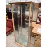 A MODERN TWO DOOR DISPLAY CABINET