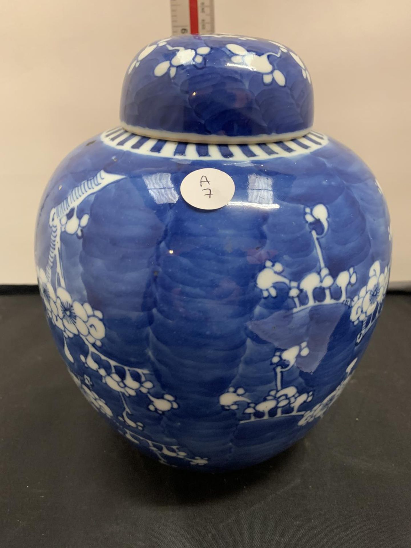 A LARGE CHINESE BLUE AND WHITE PRUNUS PORCELAIN GINGER JAR DOUBLE RING KANGXI 20CM