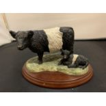 A BORDER FINE ARTS FIGURINE ON A WOODEN PLINTH OF A BELTED GALLOWAY WITH CALF (MINOR PAINT LOSS IN