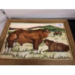 A MOORCROFT FRAMED CERAMIC PLAQUE OF A LIMOUSIN BULL LIMITED EDITION 15/30