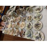A LARGE ASSORTMENT OF COLLECTABLE PLATES TO INCLUDE ROYAL WORCESTER ETC