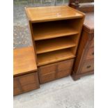 A TEAK NATHAN STEREO CABINET WITH PANELLED DOOR, 20" WIDE
