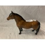 A BESWICK DARTMOOR BAY PONY