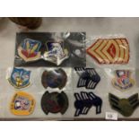 A GROUP OF NORTH AMERICAN BADGES