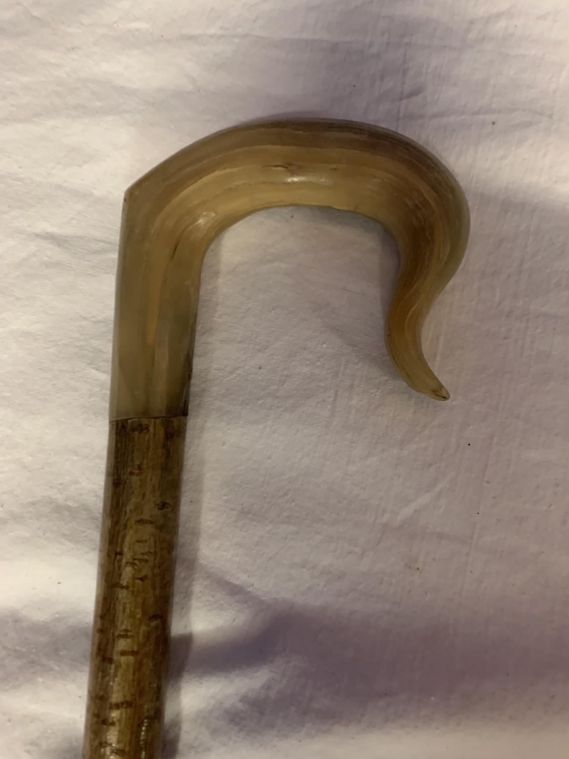 A WOODEN WALKING STICK WITH ANIMAL HORN HANDLE - Image 3 of 3