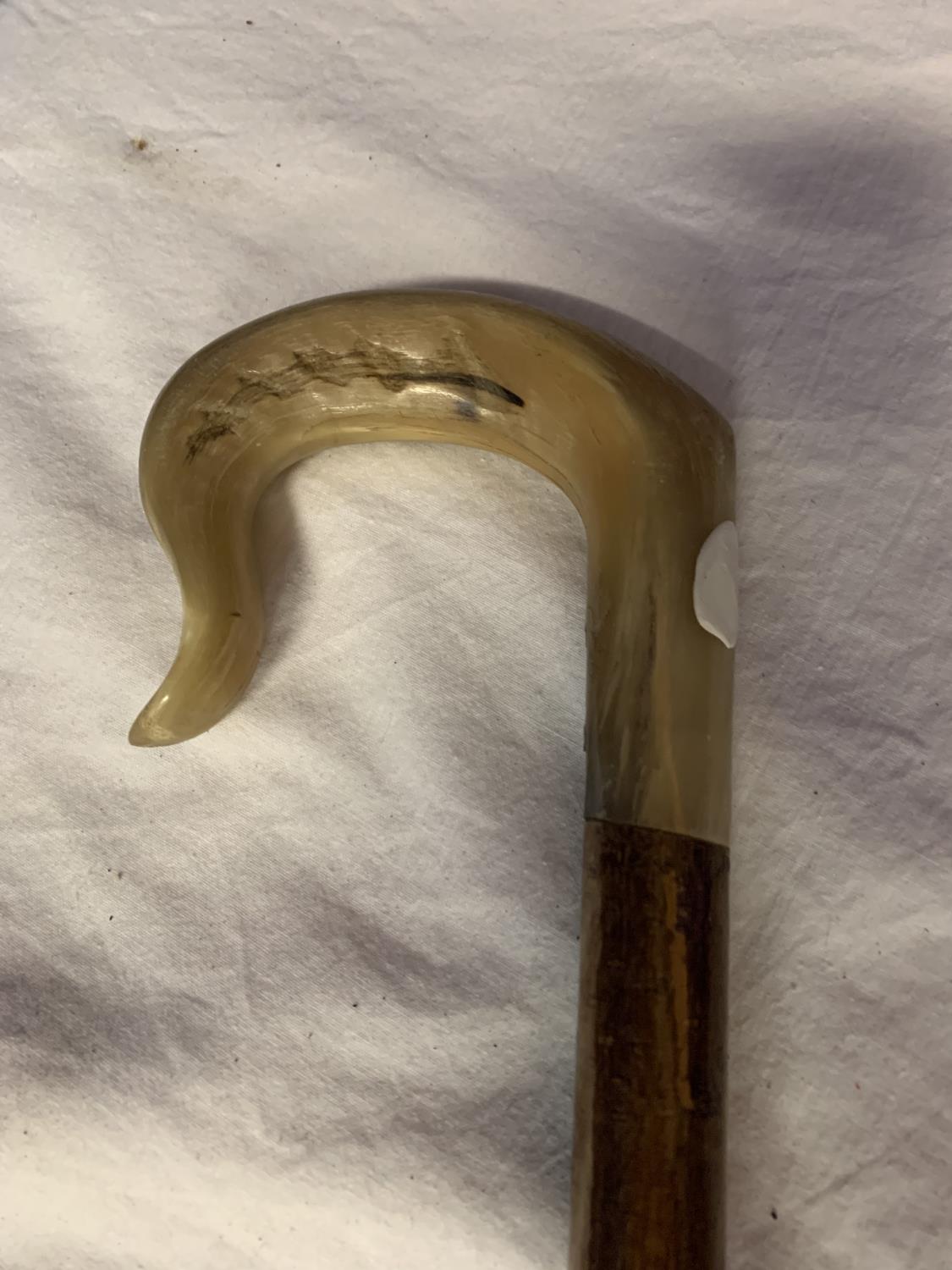 A WOODEN WALKING STICK WITH ANIMAL HORN HANDLE - Image 2 of 3