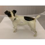A MODEL OF A JACK RUSSEL DOG
