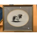 A FRAMED SIGNED LIMITED EDITION GELDART PRINT OF A SHETLAND PONY