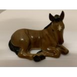 A BESWICK ANOTHER STAR FOAL