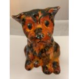 AN ANITA HARRIS SIGNED AND HANDPAINTED MODEL OF A SITTING DOG