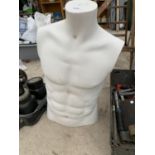 A MANNEQUIN OF A MALE UPPER TORSO