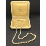 A BOXED CIRO STRING OF PEARLS WITH A 9 CARAT GOLD CLASP