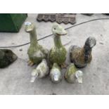 SIX CONCRETE GARDEN ORNAMENTS - THREE GEESE AND THREE DUCKS