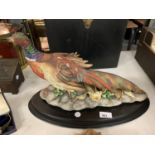 A LARGE LIMITED EDITION VIERTASCA PORCELAIN PHEASANT ON A WOODEN PLINTH