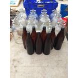 TWELVE DEMI JOHNS AND A FURTHER EIGHT COLOURED BOTTLES