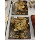 A PAIR OF VINTAGE CUPBOARD DOORS IN THE ORIENTAL STYLE FOR WALL HANGING