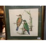 A SIGNED AND FRAMED PRINT OF TWO WOODPECKERS