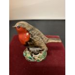 AN ANITA HARRIS SIGNED AND HAND PAINTED ROBIN