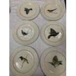 SIX COPELAND SPODE PLATES WITH VARIOUS BIRD DESIGNS