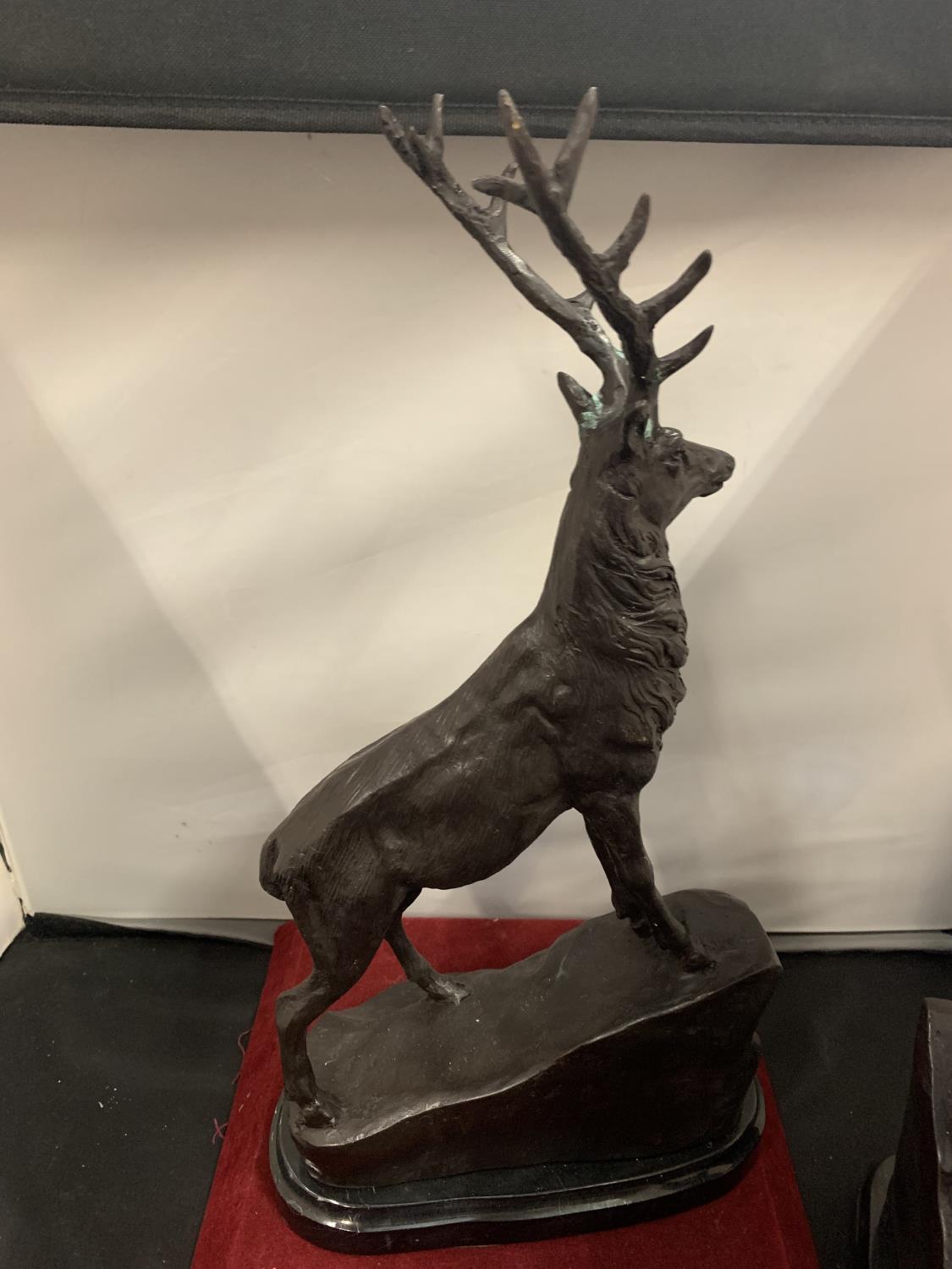 AN IMPRESSIVE PAIR OF BRONZE STAGS SIGNED J MOIGNIEZ - Image 5 of 6