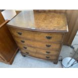 A BOW FRONT BURR WALNUT CHEST OF FOUR DRAWERS
