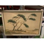 A FRAMED PRINT OF THE 'PINES ON THE DUNES' BY JAN HAGUE