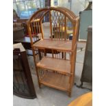 A BAMBOO THREE TIER CONSERVATORY SHELF