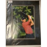 A MOUNTED AND SIGNED COLOUR PHOTOGRAPH OF GOLFER TIGER WOODS COMPLETE WITH CERTIFICATE OF
