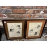 A PAIR OF FRAMED LIMITED EDITION PENCIL DRAWINGS OF GAME BIRDS SIGNED DAVID WALLER